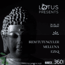 Lotus Night