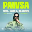 PAWSA | Lucca Beach