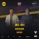 Glitch Fields Presents // JOEZI + LIVA K