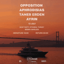 Sunset Vibes on the Bosphorus