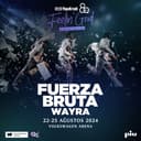 Fuerza Bruta Wayra
