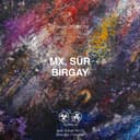 TAPE61823 Mx. Sür, Birgay