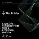 Zebra x Major Wednesday