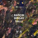 TAPE61724 Barçın, Birgay, Sallı