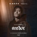 Antdot | Galia Bodrum