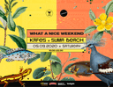 Kafes x Suma Beach - What A Nice Weekend 3 (Saturday) 