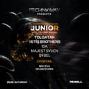 Rave With Melodic Techno