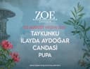 Wednesday @ZoeGarden
