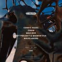 CENGİZ GÜZEL AT SKETCH ISTANBUL