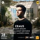 Ceaus at Kastel Teras