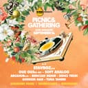 Picnic & Gathering Ankara