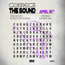 Özgür Bay - Koray Güçkıran - Cisetta - Bahar Şili