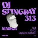 DJ Stingray 313
