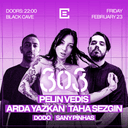 303 Records Present: Pelin Vedis