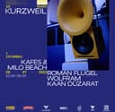 Roman Flügel I 10 Years of Kurzweil