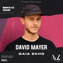 David Mayer X AYZ