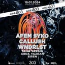 AREA 303  : AFEM SYKO + CALLUSH + WNDRLST