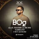 BOg x ZOE 