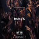 TAPE50424 Barış K