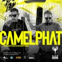 Camelphat | Klein Phönix